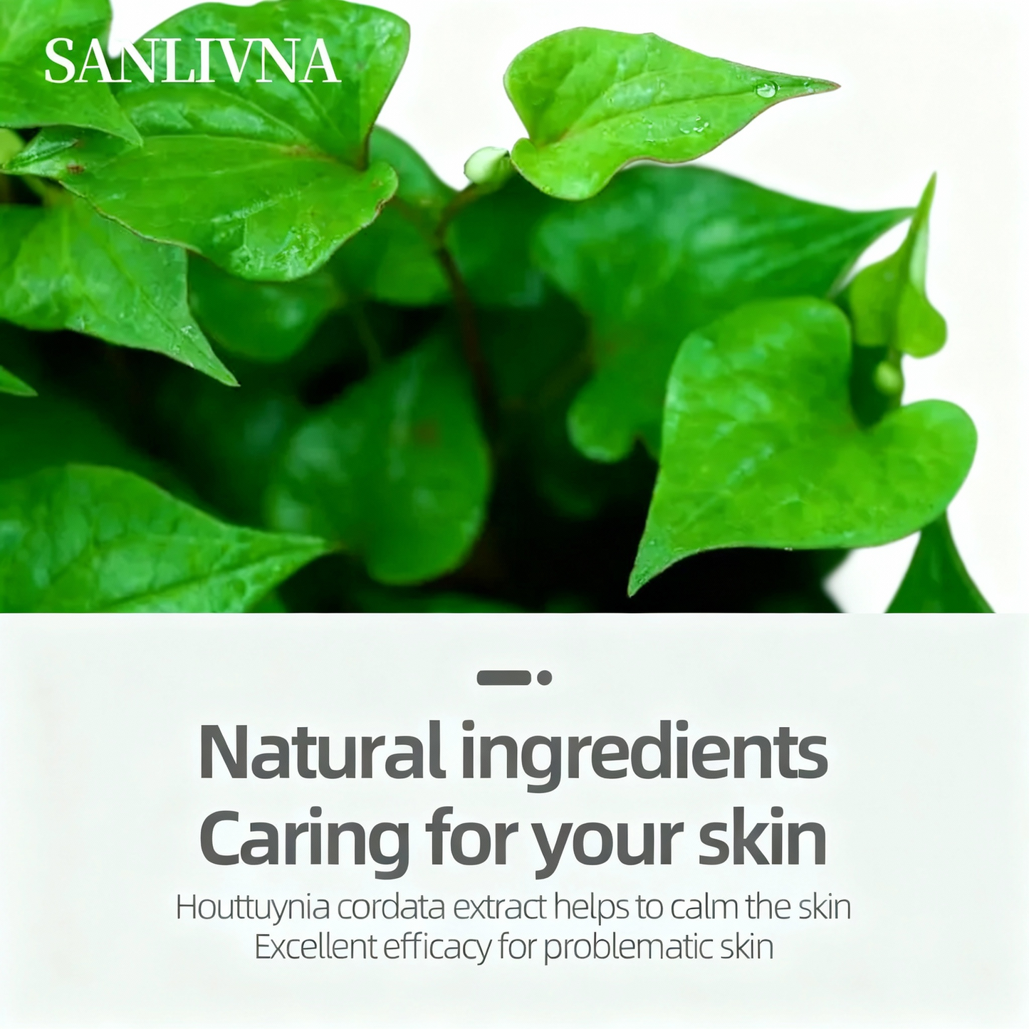 Heartleaf 77% Gentle Toner Pads